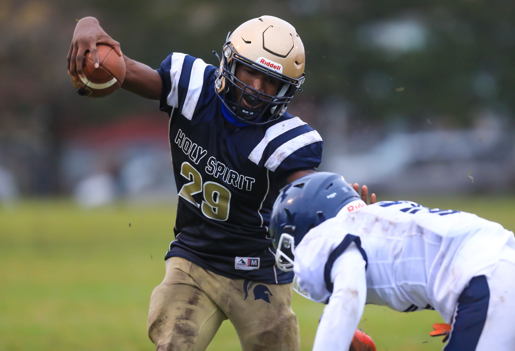 spt_HSFB